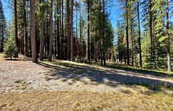 715 Miner's Passage, Clio, CA 96106