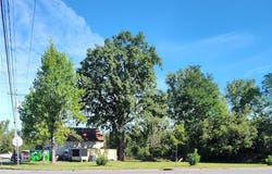 Rt-5, Clinton, NY 13323