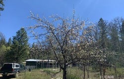 360 Whispering Pines Dr, Hayfork, CA 96041