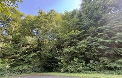 1 Cedar St, Wheeler, OR 97147