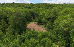 4 Youngs Road, Canton, ME 04221