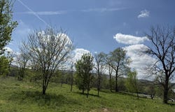 Kate Lane, Batesville, AR 72501