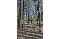 2682 Brahma Circle, Pinetop, AZ 85935