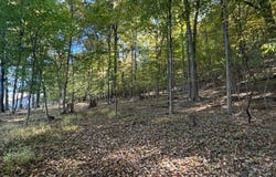 2 RESERVOIR Lane, RIDGELEY, WV 26753