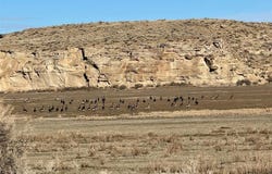 3824 Basin Gardens Rd, Basin, WY 82410