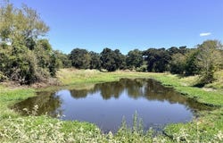 11529 Winstead Lane, Calvert, TX 77837