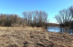 VL E Dowling Road, Dowling, MI 49050