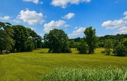 44 acres County Road 83, Centre, AL 35960