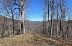 Roan Springs Road, Roan Mountain, TN 37687