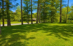 10150 CYPRESS ST, Ross, WI 54511