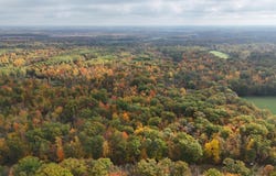 Skyview Street, Brook Park, MN 55007
