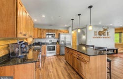 870 N CAMP Road, MC HENRY, MD 21541