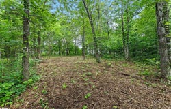 223 May Apple Way, Landrum, SC 29356