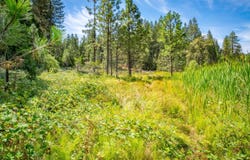 TBD CA-88, Pioneer, CA 95666