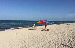 Miami Beach, FL 33141