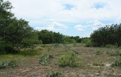 3135 CR 4131, Eden, TX 76837