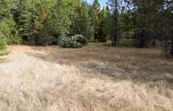 Lakeshore Drive, Selma, OR 97538