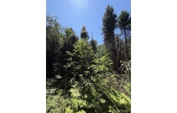Red Road, Ishpeming, MI 49849