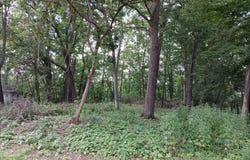 1272 Westlake Woods Drive, Battle Creek, MI 49037