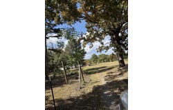 255 Berry Road, Concord, AR 72523