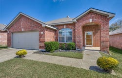 1617 Black Maple Drive, Anna, TX 75409