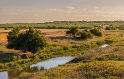 County Road 277, Baird, TX 79504