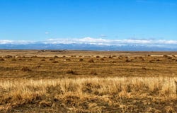 County Road 80, Briggsdale, CO 80611