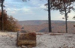538 NC 6824, Jasper, AR 72641