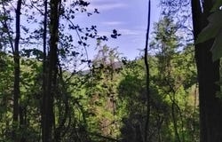OLD BLUE RIDGE TPKE, SYRIA, VA 22743