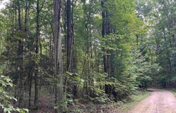 Langs Lane, Interlochen, MI 49643