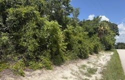 Sandra Drive, Weeki Wachee, FL 34607