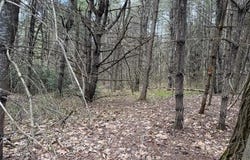 NH Rte 175, Holderness, NH 03245