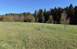 W Timber Lane, Empire, MI 49630