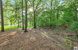 6224 Richmond Rd, Texarkana, TX 75503