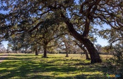 County Road 284, Edna, TX 77964