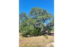 628 Bonita Dr, Blanco, TX 78606