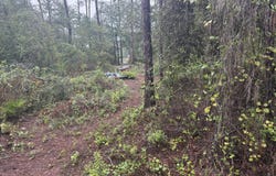 BOLES Avenue, Interlachen, FL 32148