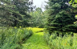 1.6 Brigham Rd, Richford, NY 13835