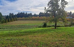 33535 SE BLUFF Rd, Boring, OR 97009