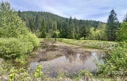 791 Rancheria Creek Rd, Trinity Center, CA 96041