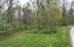Tract 2 E Pine Road Common, Bloomfield, IN 47424