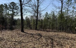 Foxcroft Lane, Elizabeth, AR 72531
