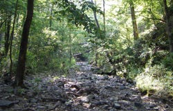 Mosley Road, Arkadelphia, AR 71923