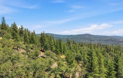 Old Oak Ranch Rd, Sonora, CA 95370