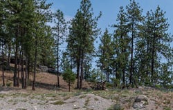 97 E Center Ln, Spokane, WA 99208
