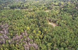 1696 Woods Bend Road, Ragland, AL 35131