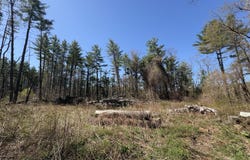 117 Lime Kiln Rd, Lenox, MA 01240