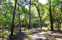800 Trosper Trace, Quinlan, TX 75474