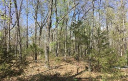 Cass Road, Hartville, MO 65667