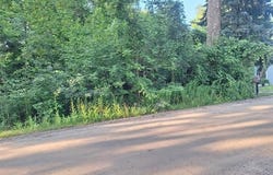 Birchwood Road, Worth Twp, MI 48450